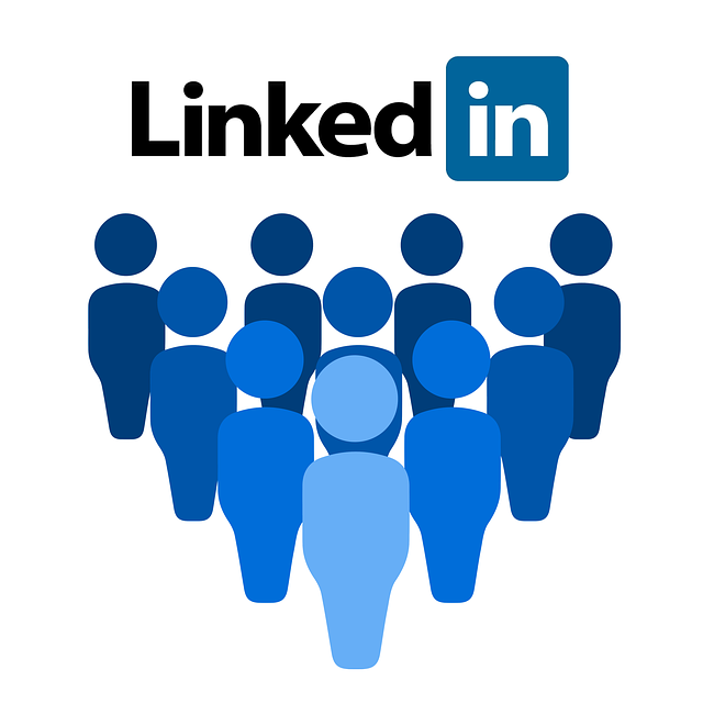 Publikum na LinkedInu