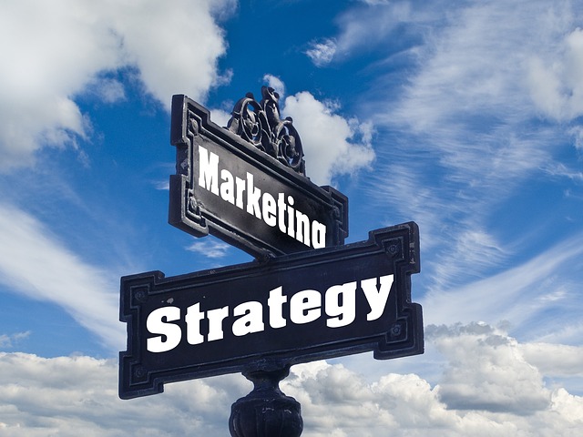 Marketingová strategie orientovaná na zákazníka