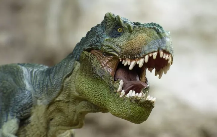 Tyranosaurus
