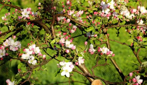 Dubnové novinky PPC